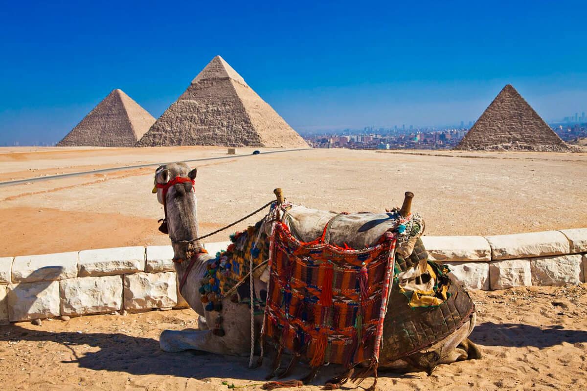 Cairo and Giza