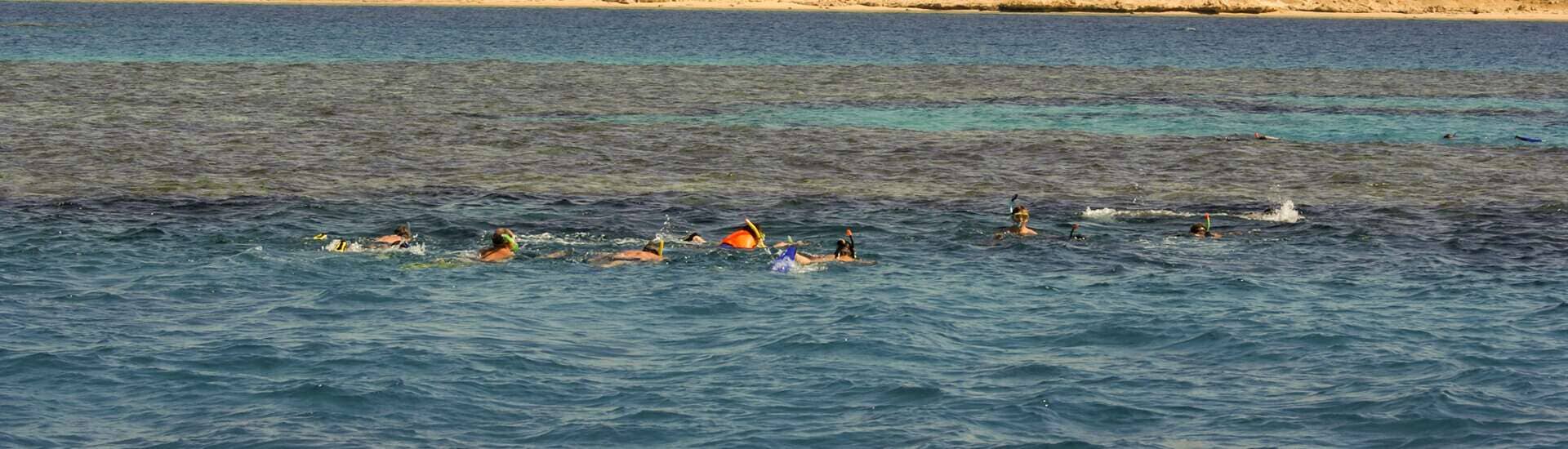 Snorkeling Tour at Tiran Island From Sharm