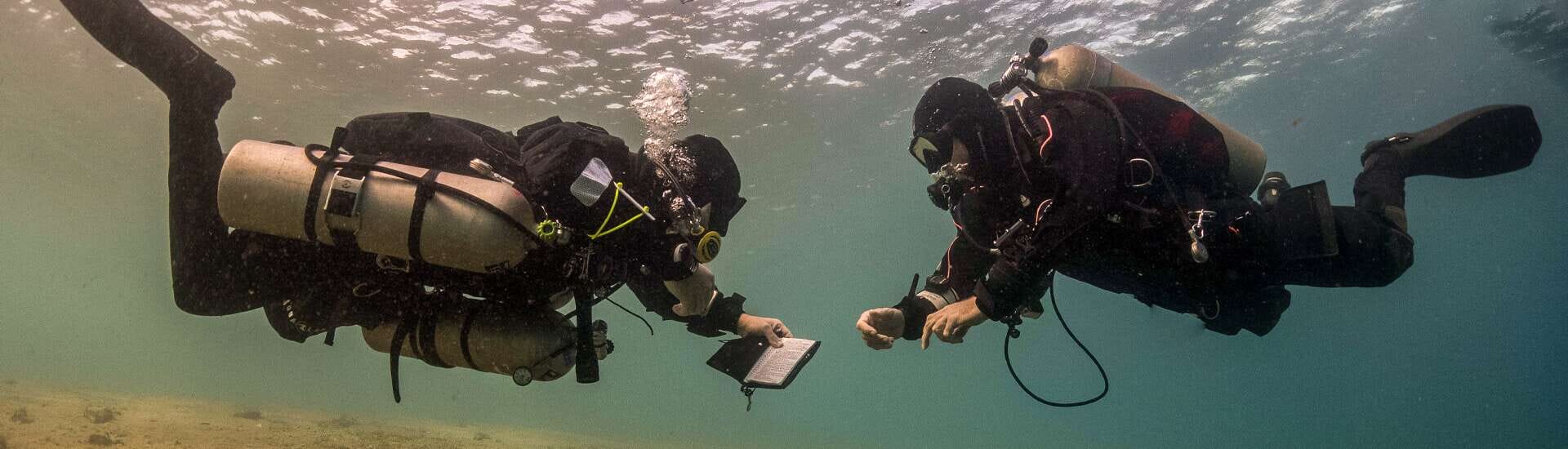 Camel ride and snorkeling in the Blue Hole from Dahab