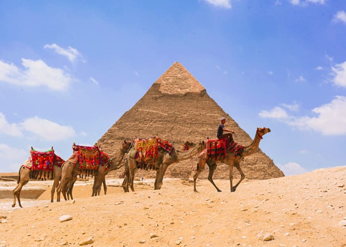 cairo day tours