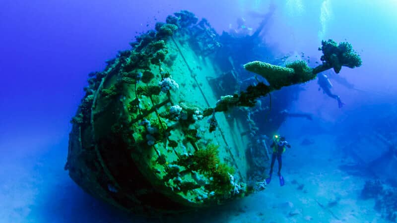 Scuba Diving in Red Sea 