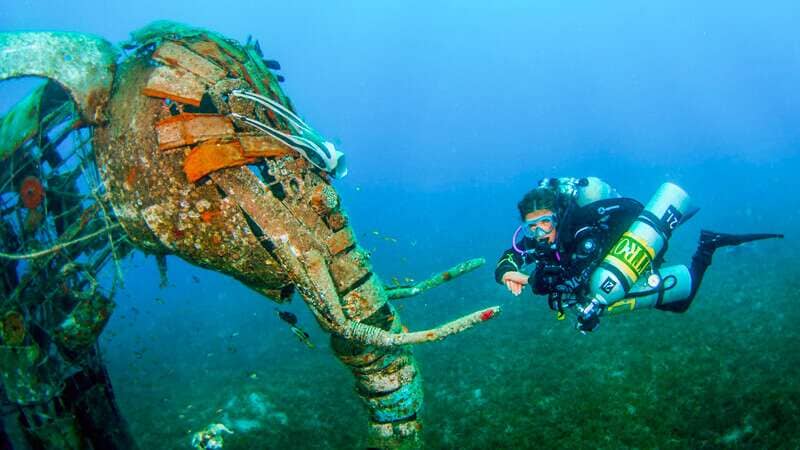 the Scuba diving in the red sea egypt 